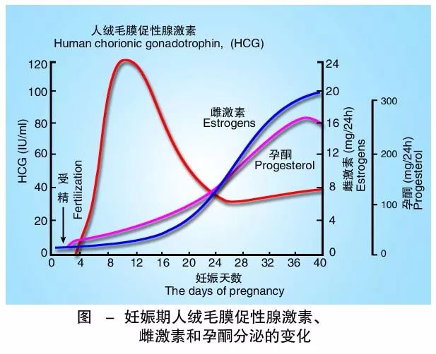 懷孕期間HCG低怎么辦？